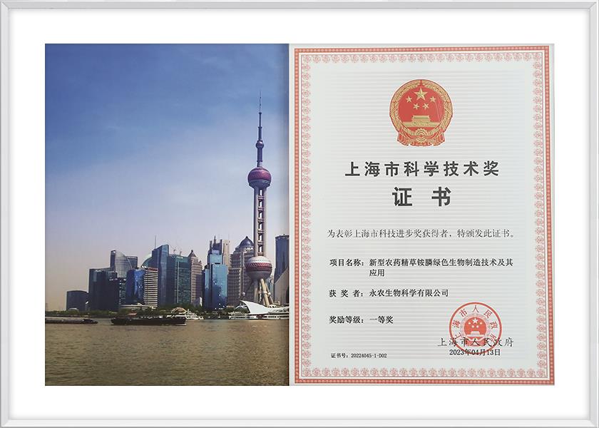 科學(xué)技術(shù)一等獎(jiǎng)